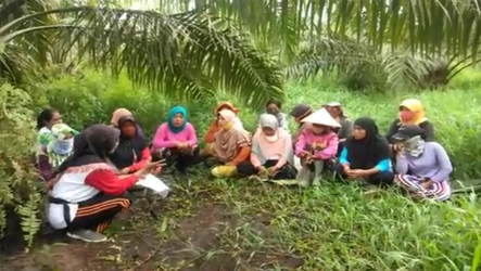  Buruh Perempuan Sawit Kecewa, Tuntut Manajemen PT MAS Aktifkan Kepesertaan BPJS.