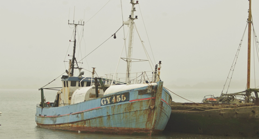 Memperjuangkan Hidup Layak, Bagi Pekerja Migran Perikanan dan Pengolahan Makanan Laut